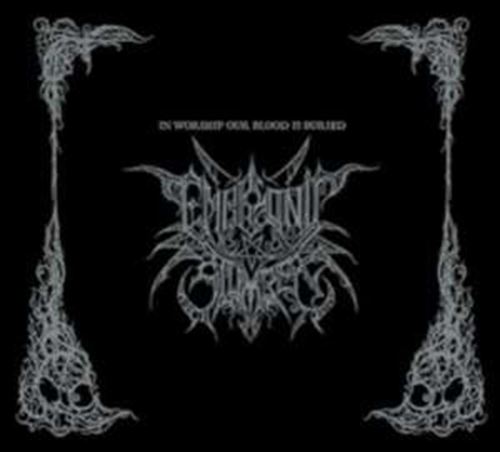 Embryonic Slumber - In Worship Our Blood Is Buried