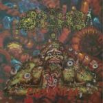 Dipygus - Bushmeat