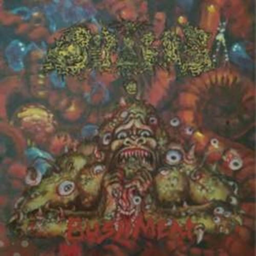 Dipygus - Bushmeat