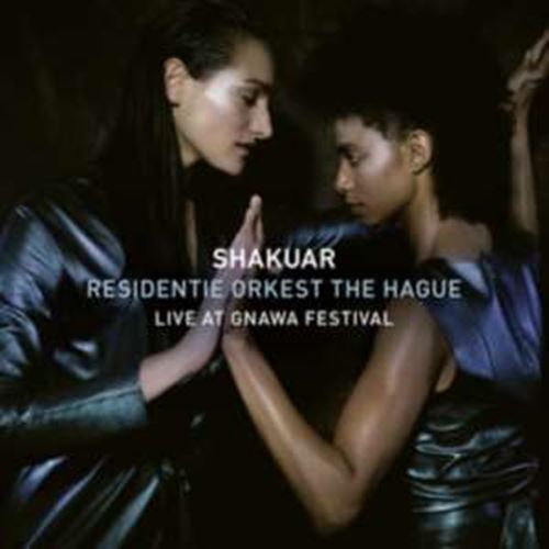 Shakuar - Live: Gnawa Festival