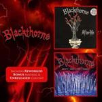 Blackthorne - Afterlife/don’t Kill The Thrill