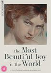 The Most Beautiful Boy In The World - Annike Andresen