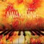 Dave Eggar - Awakening