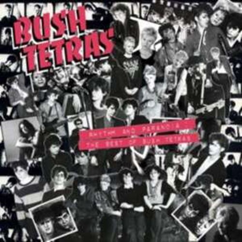 Bush Tetras - Best Of