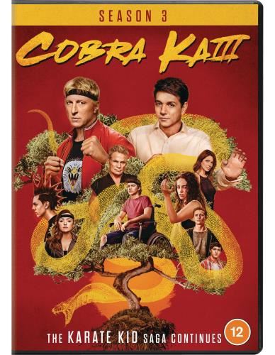 Cobra Kai: Season 3 [2022] - Film