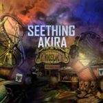 Seething Akira - Dysfunctional Wonderland