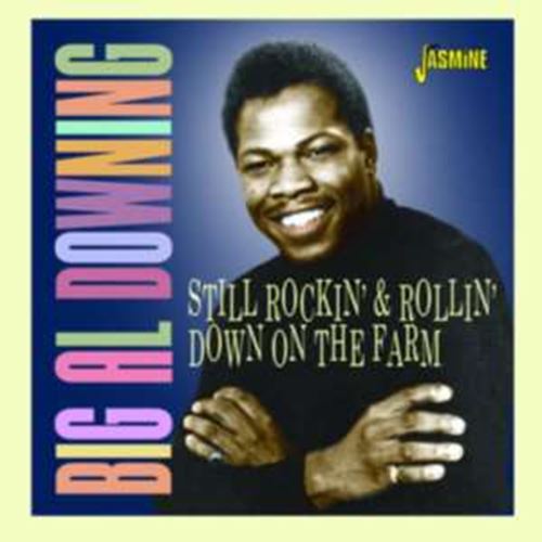 Big Al Downing - Still Rockin And Rollin Down