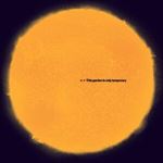 Andy White - This Garden Is Only Temporary