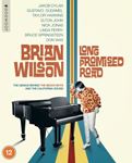 Brian Wilson: A Long Promised Road - Brian Wilson