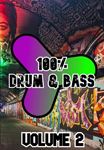 Various - 100% Drum & Bass Volume 2
