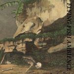 Rainforest Spiritual Enslavement - Flying Fish Ambience