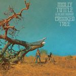 Molly Tuttle/Golden Highway - Crooked Tree