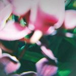 Trade Wind - You Make Everything Disappear