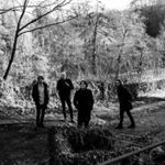 The Be Positives - Everything About