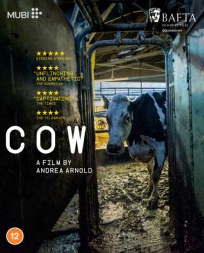 Cow [2022] - Luma