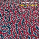 Peter A Schmid - Contrabassics