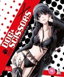 Dog & Scissors Collection [2022] - Film