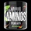 Warrior Aminos BCAA + Electrolyte Booster - Watermelon 360g