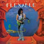 Steve Vai - Flex Able 36th Ann