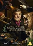 Fantastic Beasts: A Natural History [BBC] - Film