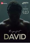 The Perfect David - Umbra Colombo