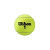 Picture of Wilson - Roland Garros Tennis Balls: 4 Pack
