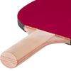 Picture of PPR 100 Table Tennis Set -