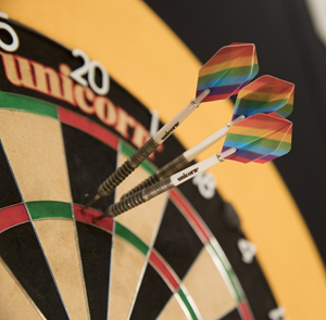 Picture for category Darts