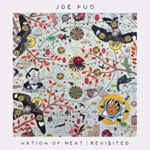 Joe Pug - Nation Of Heat/revisited