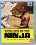 Treasure Of The Ninja And The Films - Gary Burton