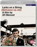 Larks On A String - Film