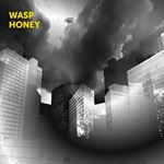 Martin Archer - Wasp Honey