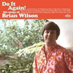 Various - Do It Again! The Songs Of Brian Wilson