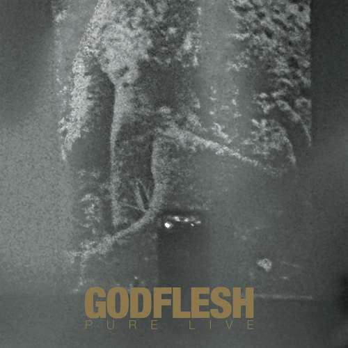 Godflesh - Pure: Live