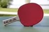 Picture of Donic-Schildkrot Table Tennis Bat - Champs Line 150 Control