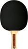 Picture of Donic-Schildkrot - Champs Line 300 Table Tennis Bat