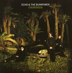 Echo & The Bunnymen - Evergreen