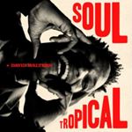 David Walters - Soul Tropical