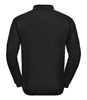 Back Image