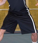 Model Image