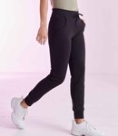 Model Image