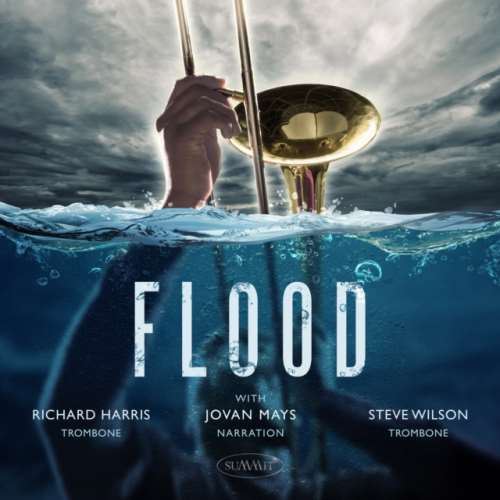 Steve Wilson/Richard Harris - Flood