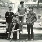 Chameleons - Tony Fletcher Walked On Water