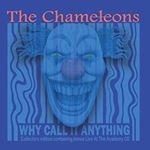 Chameleons - Live In Manchester: Why Call It Anything