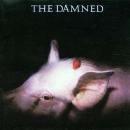 Damned - Strawberries