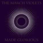 March Violets - Made Glorious