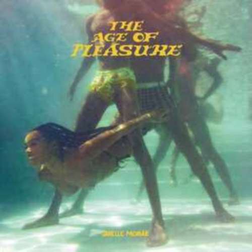 Janelle Monáe - The Age Of Pleasure