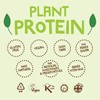 Picture of The Protein Ball Co Vegan Protein Balls - Peanut Butter 10 x 45g Pack