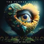 Flower Kings - Look At Your Now