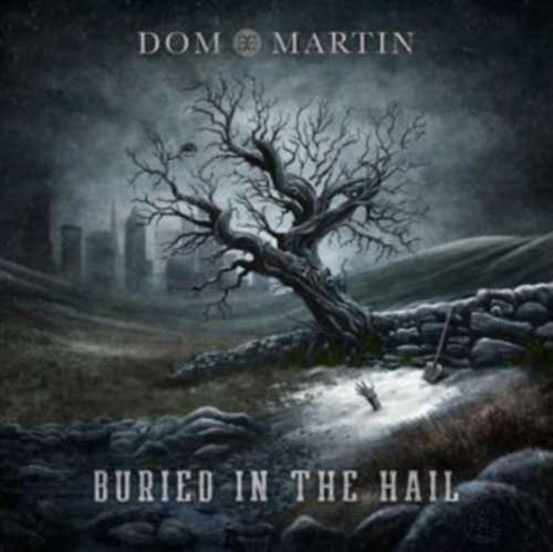 Dom Martin - Buried In The Hail